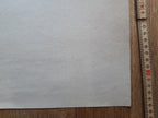 the forbidden muse Originalkunstposter - 25.0"×37.4" (63.5×95cm)