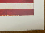 Jasper Johnes vintage art poster double flag - 23.6"×31.5" (60×80cm)