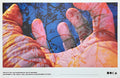 Pipilotti Rist art poster - 34.0"×22.0" (86.4×55.9cm)