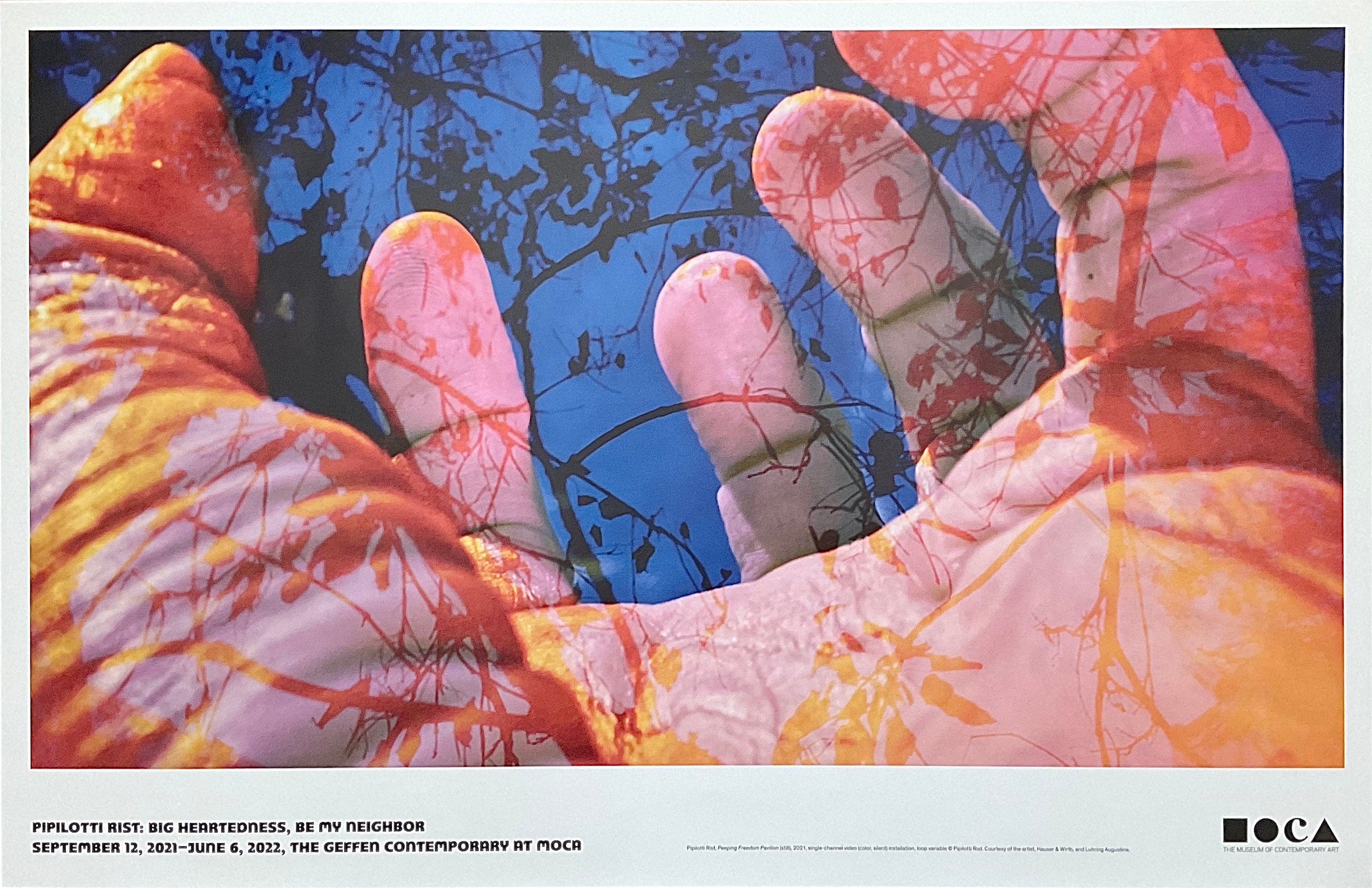 Pipilotti Rist art poster - 34.0"×22.0" (86.4×55.9cm)