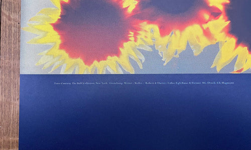 Adam Fuss art photo poster - 35.6"×50.4" (90.5×128cm)