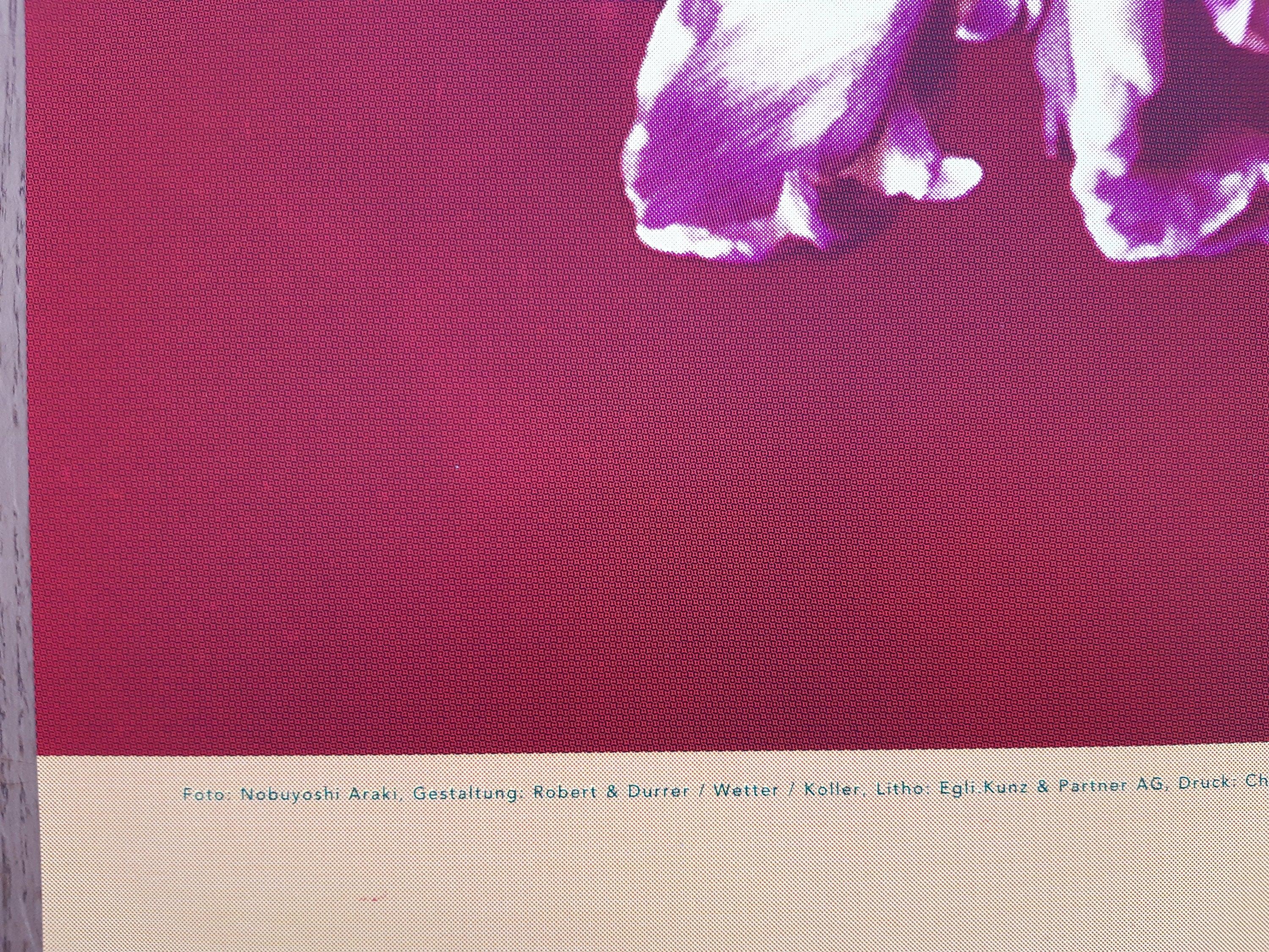 Nobuyoshi Araki art photo poster - 35.6"×50.4" (90.5×128cm)
