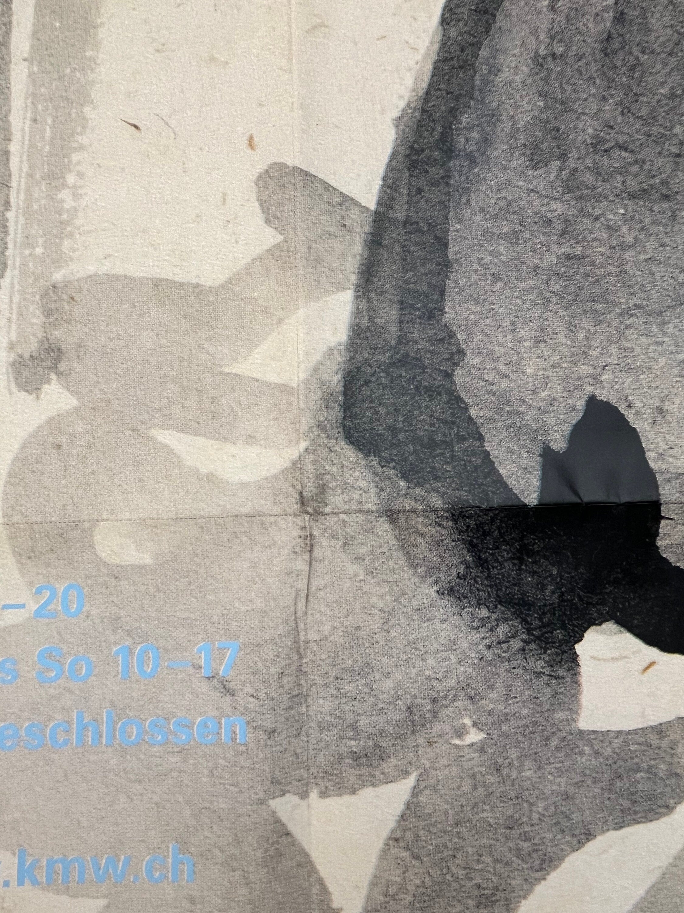 Felix Vallotton museum poster folded - 35.4"×50.4" (90×128cm)