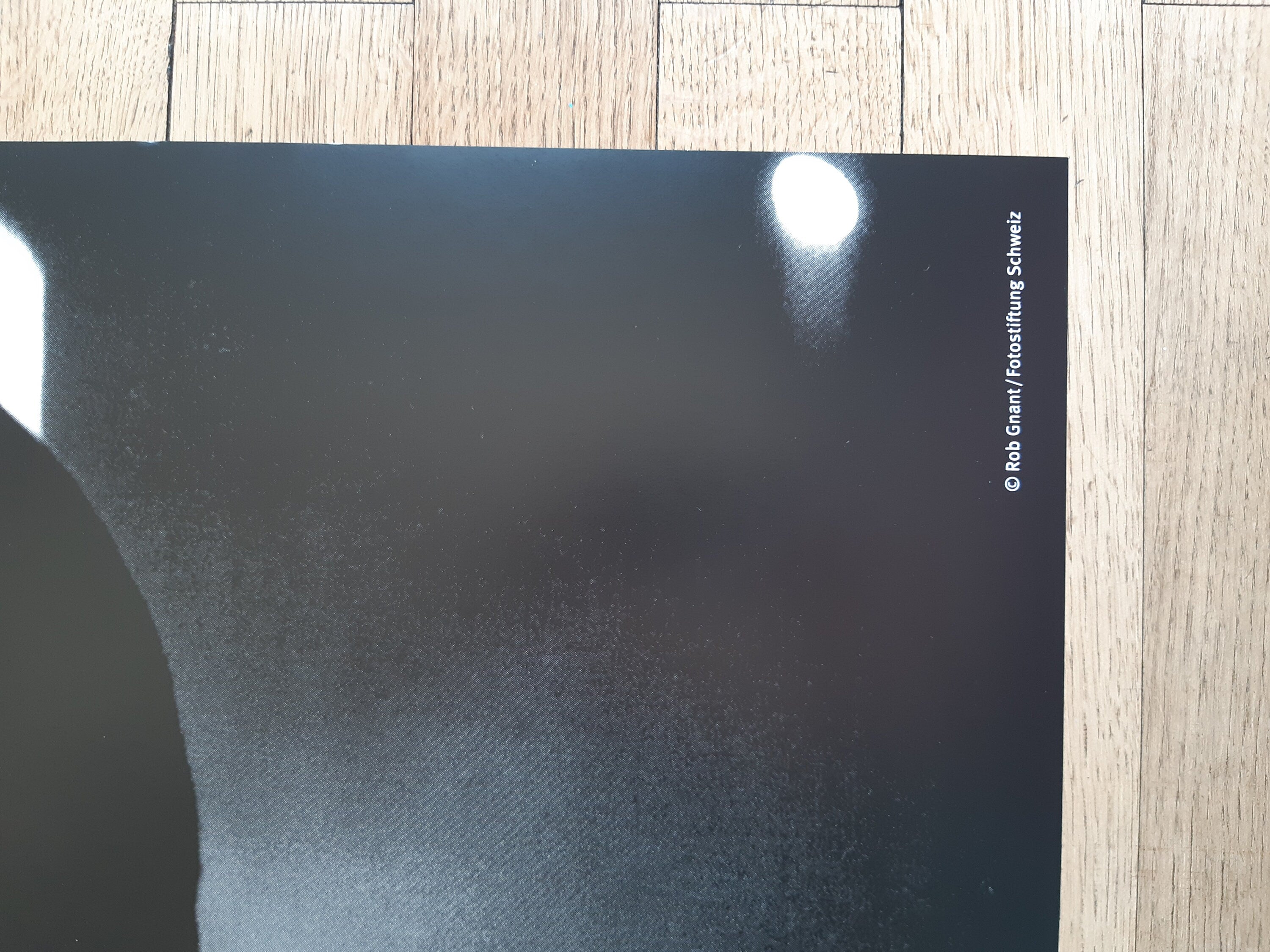 Rob Gnant photo poster - 35.4"×50.4" (90×128cm)