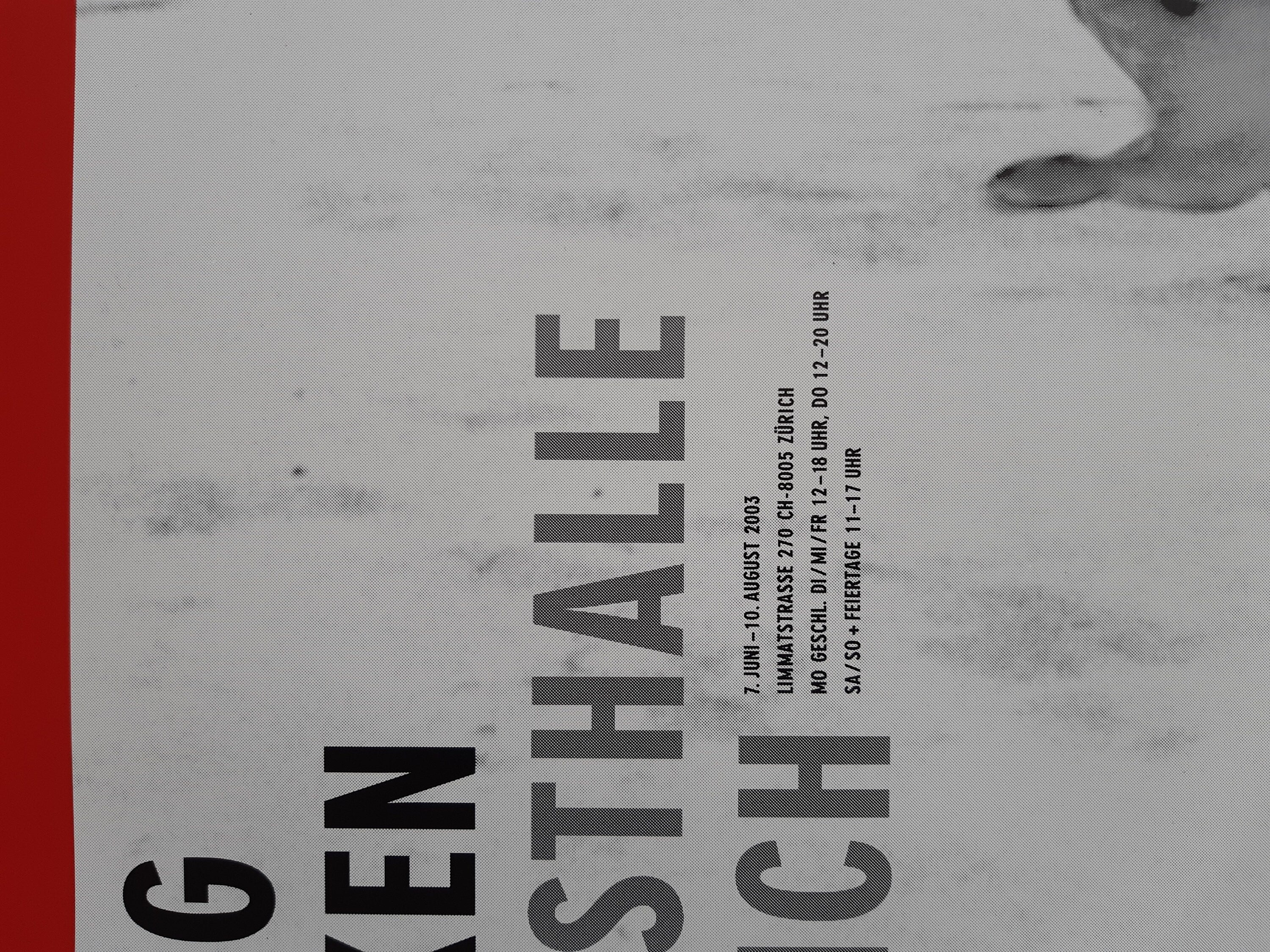 Doug Aitken art exhibition poster - 35.4"×50.4" (90×128cm)