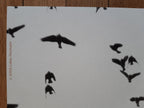 Lukas Felzmann art exhibition poster - 35.4"×50.4" (90×128cm)