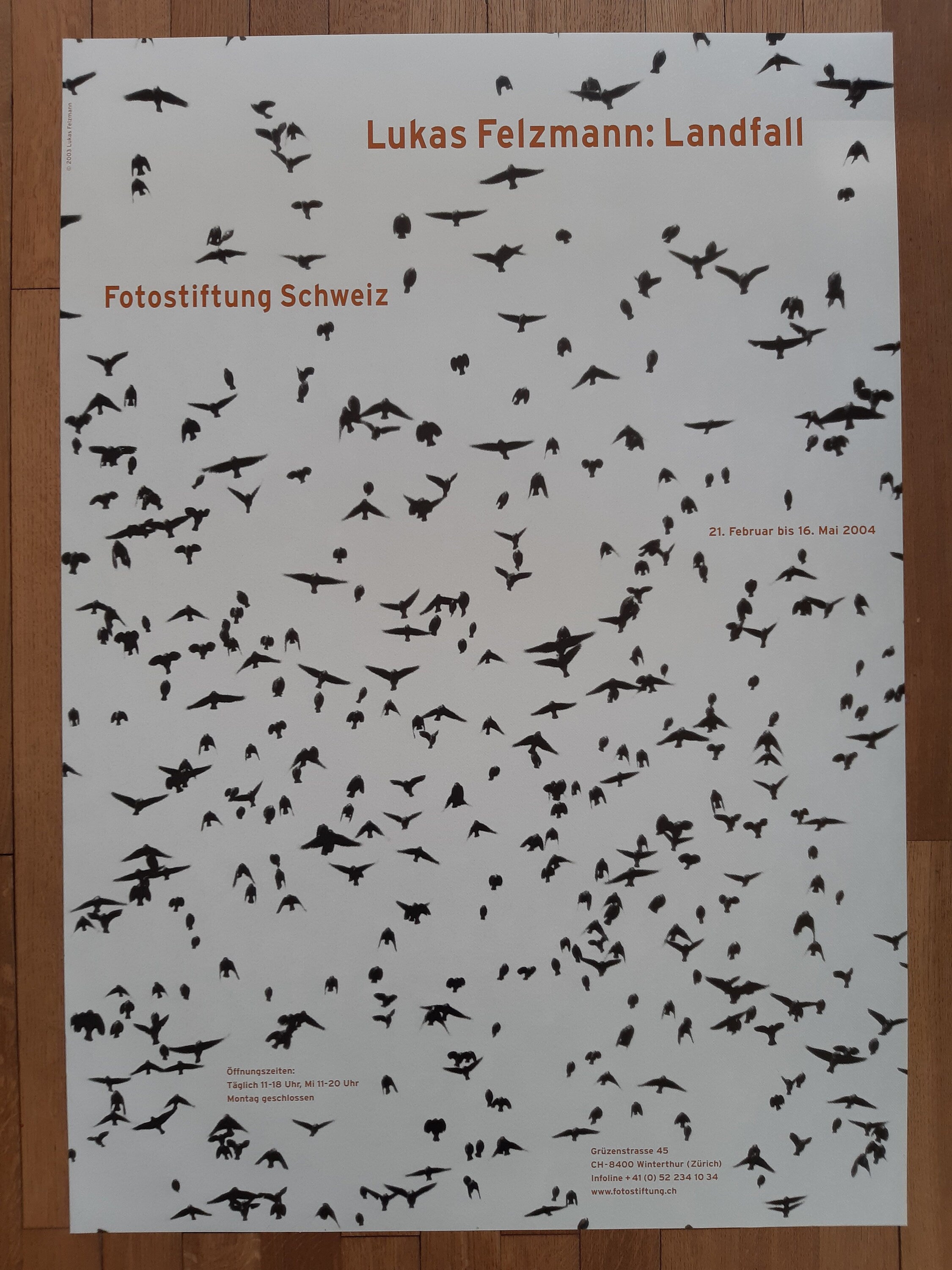 Lukas Felzmann art exhibition poster - 35.4"×50.4" (90×128cm)
