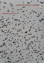 Lukas Felzmann art exhibition poster - 35.4"×50.4" (90×128cm)