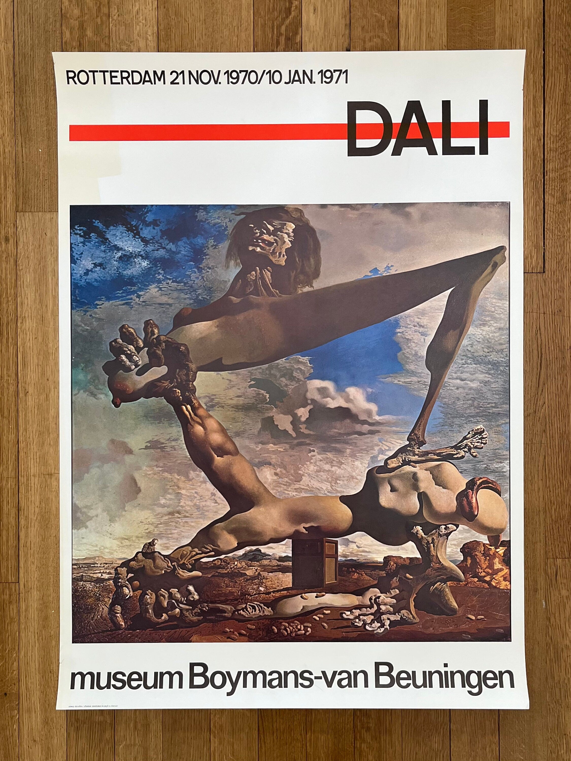 Dali Original-Kunstplakat – 83×116 cm (32.7"×45.7")