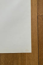 Original-Kunstausstellungsplakat von Venturi und Rauch – 90,5 × 128 cm