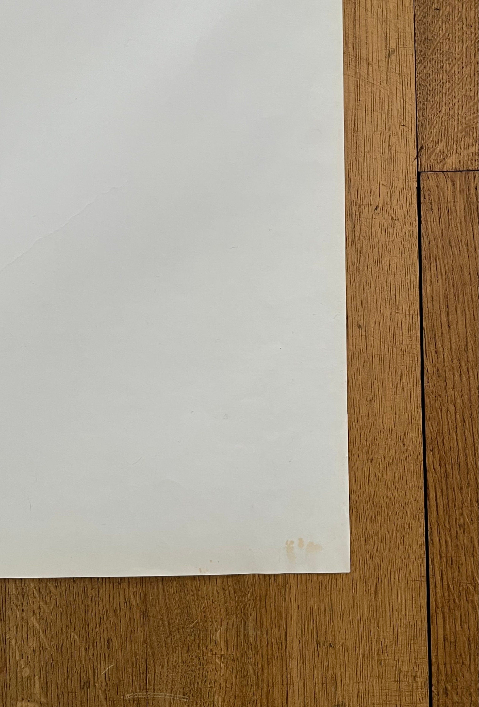 Original-Kunstausstellungsplakat von Venturi und Rauch – 90,5 × 128 cm
