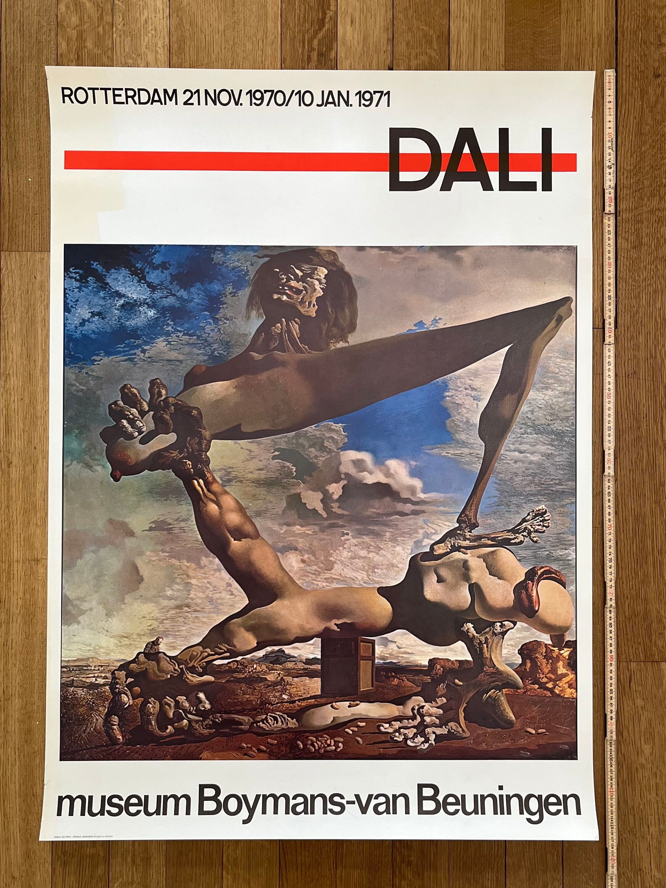 Dali Original-Kunstplakat – 83×116 cm (32.7"×45.7")