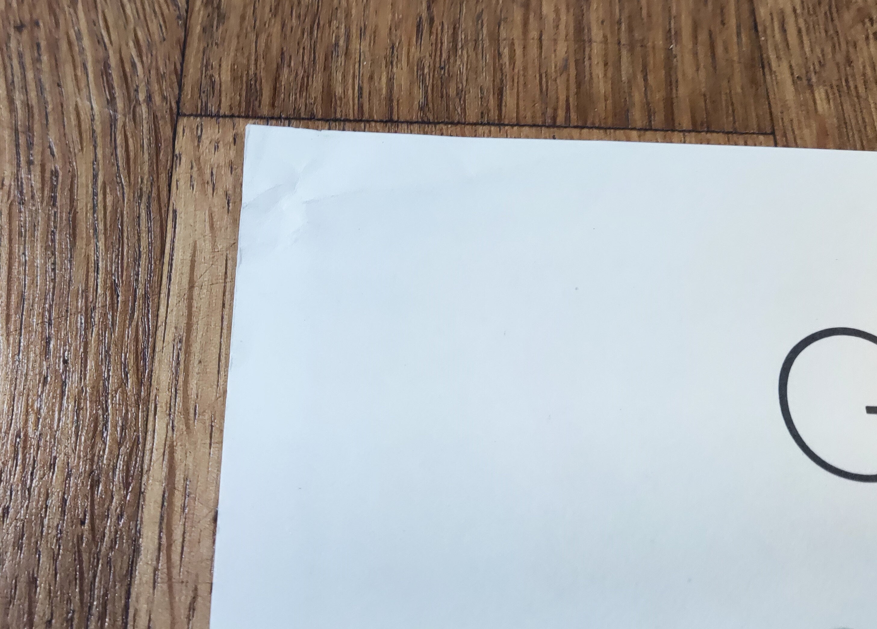 Paul Flora Original-Kunstplakat – 42 × 55,7 cm