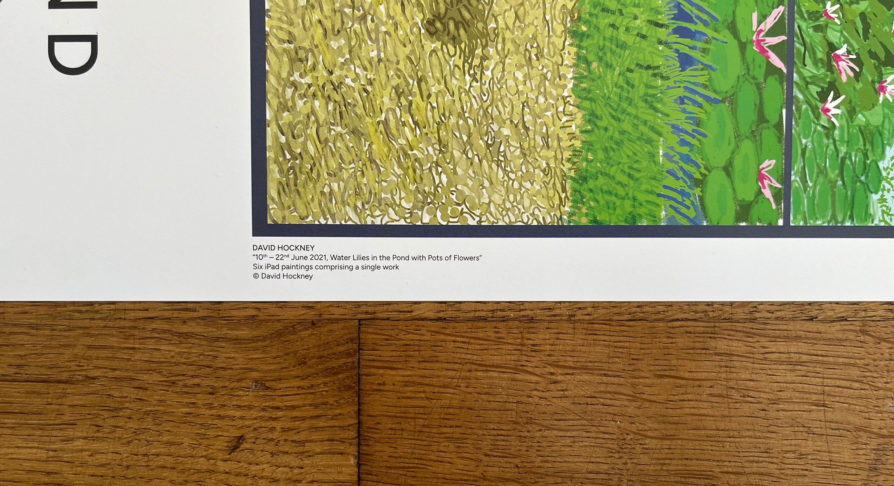 David Hockney original art poster - 19.7"×27.6" (50×70cm)