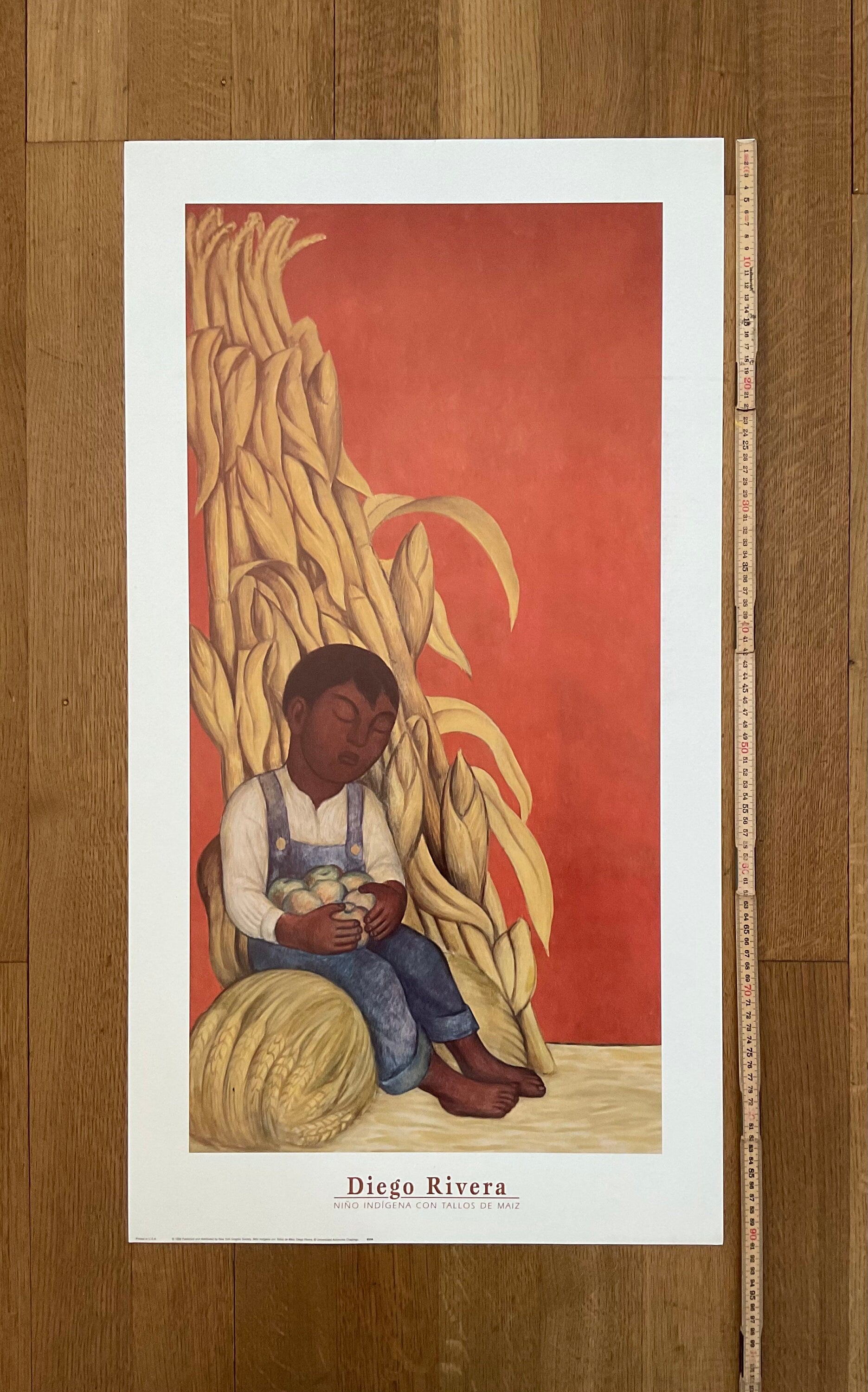 Diego Rivera Kunstdruck - 19.5"×36.0" (49.5×91.5cm)