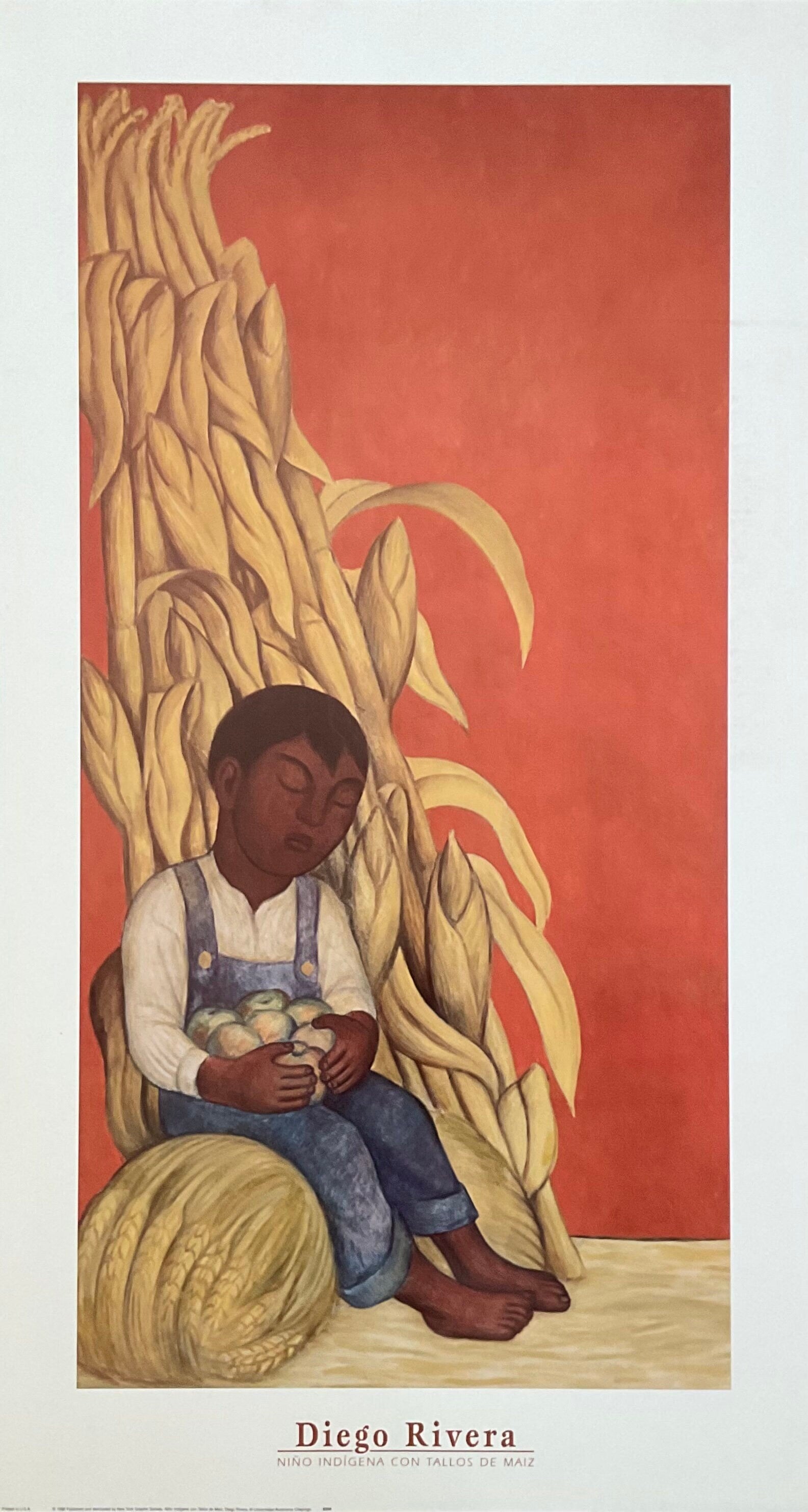 Diego Rivera Kunstdruck - 19.5"×36.0" (49.5×91.5cm)