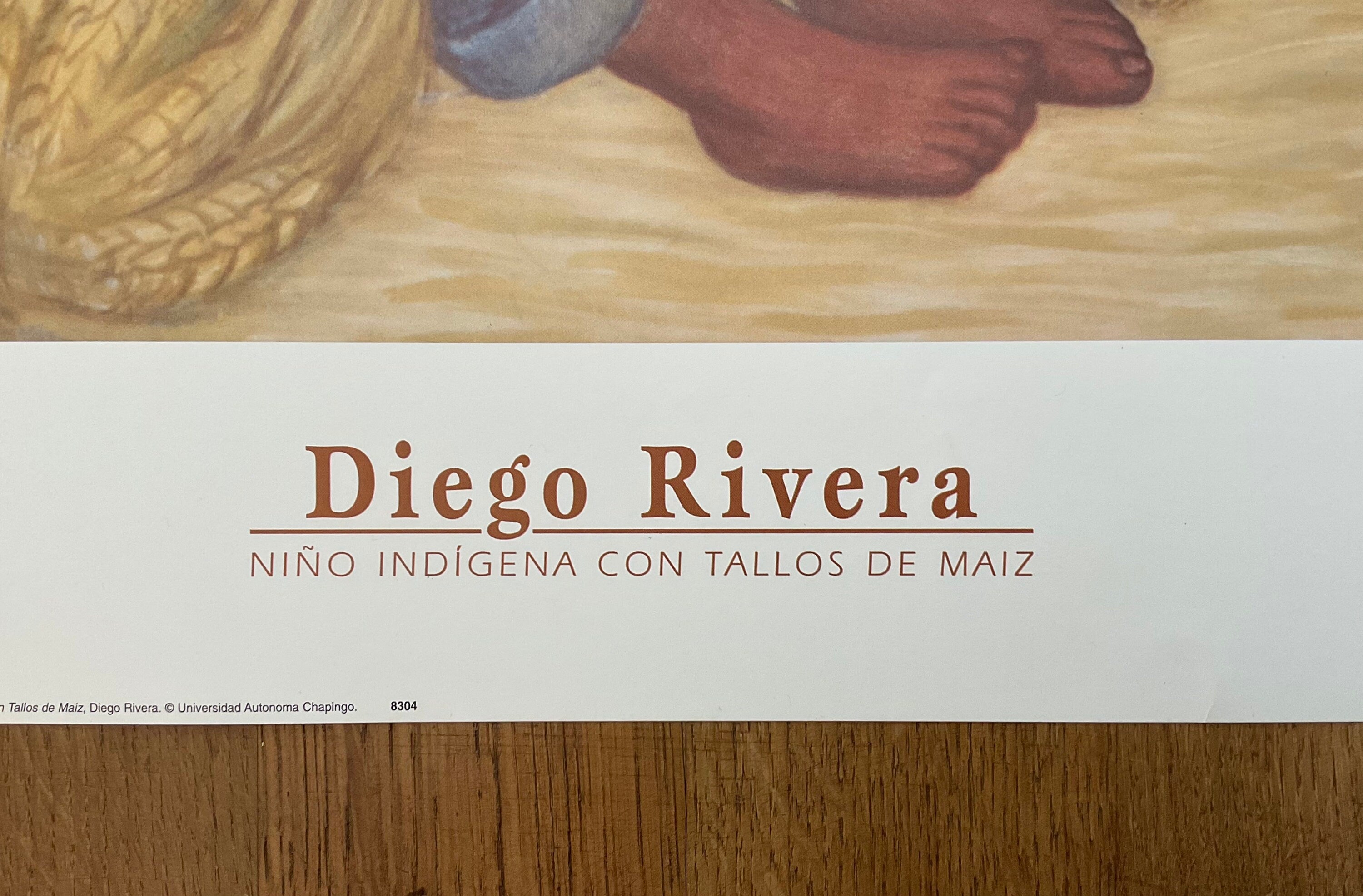 Diego Rivera Kunstdruck - 19.5"×36.0" (49.5×91.5cm)