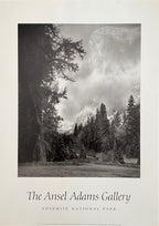 The Ansel Adams Gallery art poster - 25.6"×36.0" (65×91.5cm)