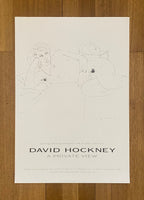 David Hockney original exhibition poster used - 23.6"×33.9" (60×86cm)