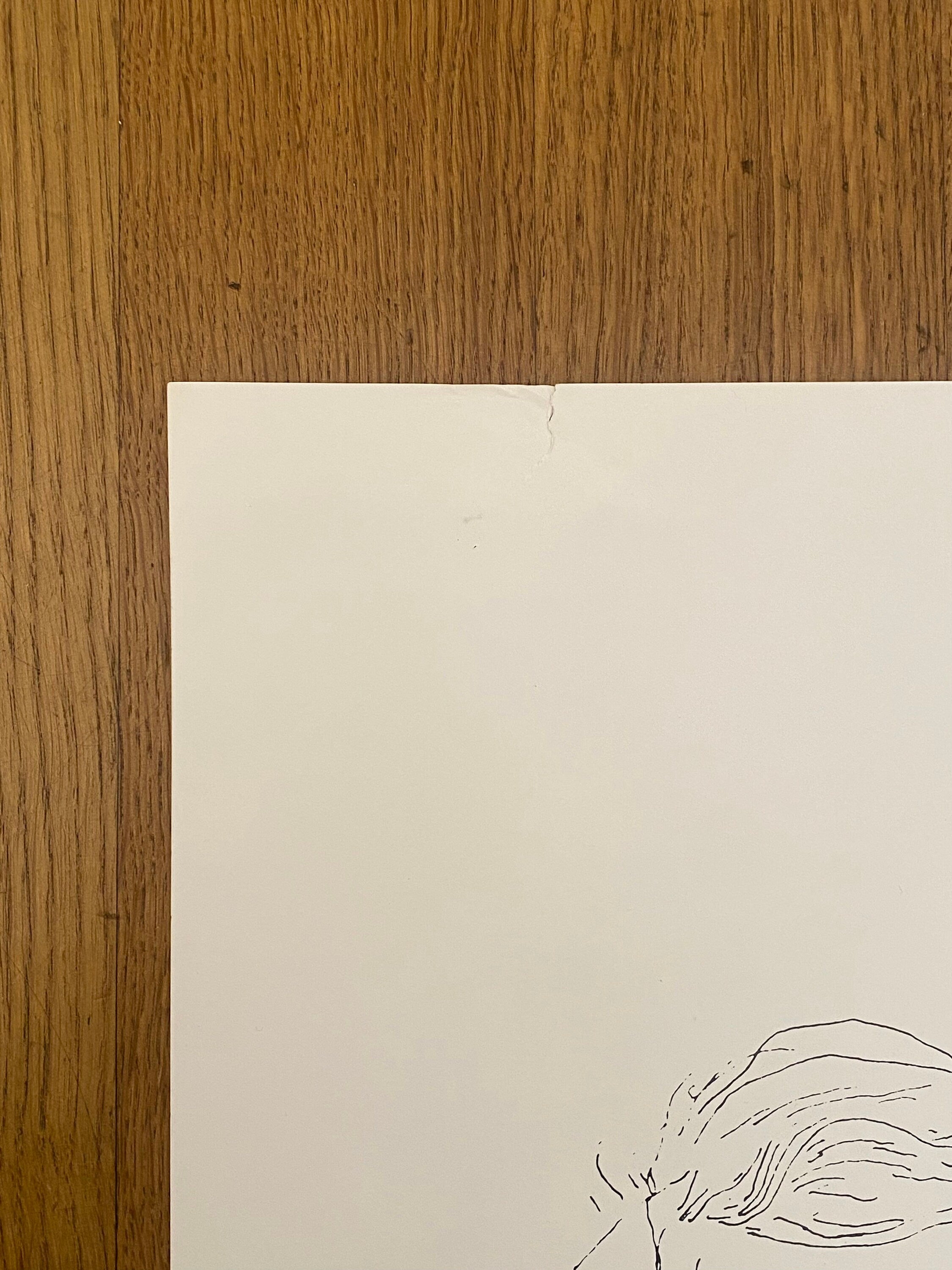 David Hockney original exhibition poster used - 23.6"×33.9" (60×86cm)