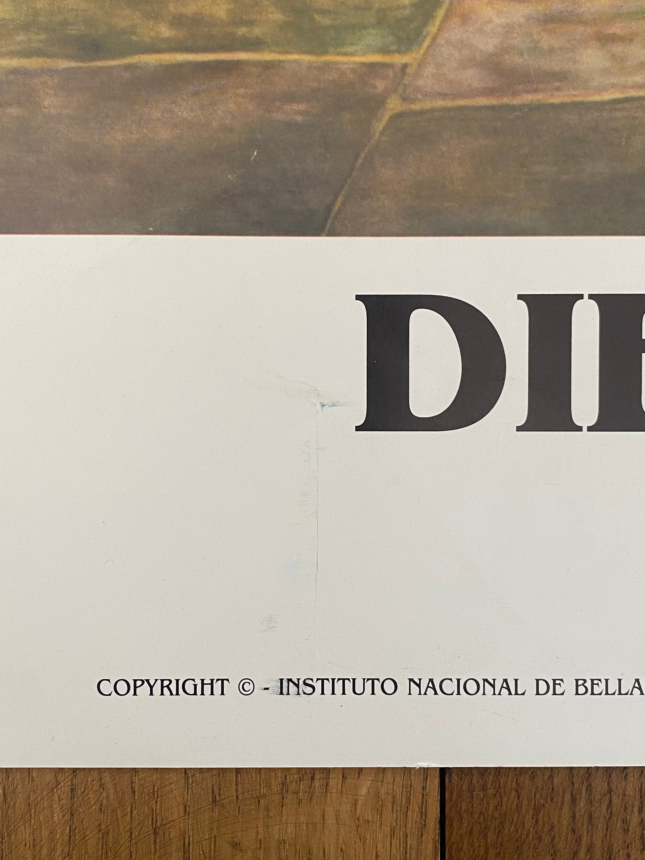 Diego-Rivera-Ausstellungsposter verwendet – 92,5×57 cm (36,4"×22,4")