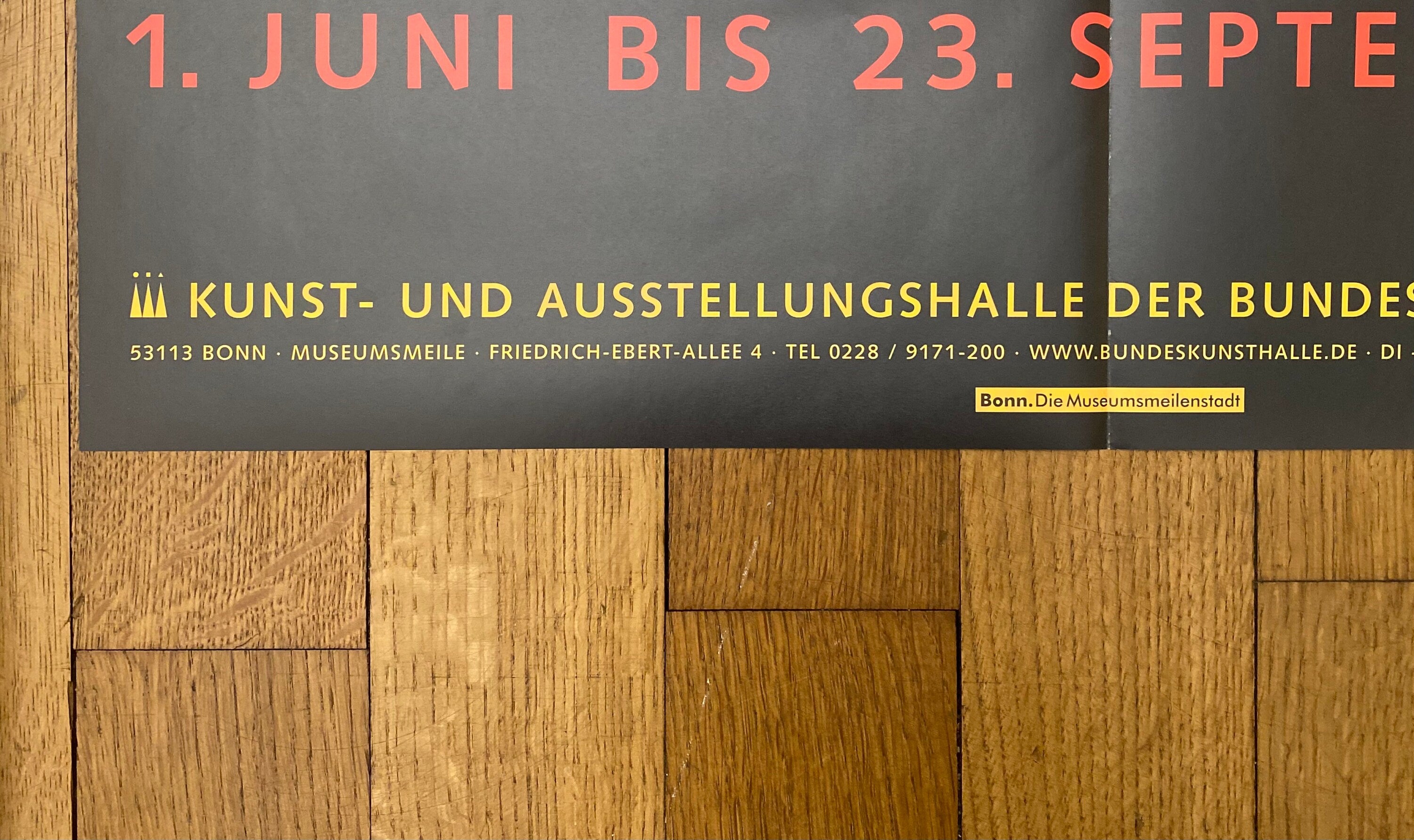 David Hockney original art poster - 23.2"×32.9" (59×83.5cm)