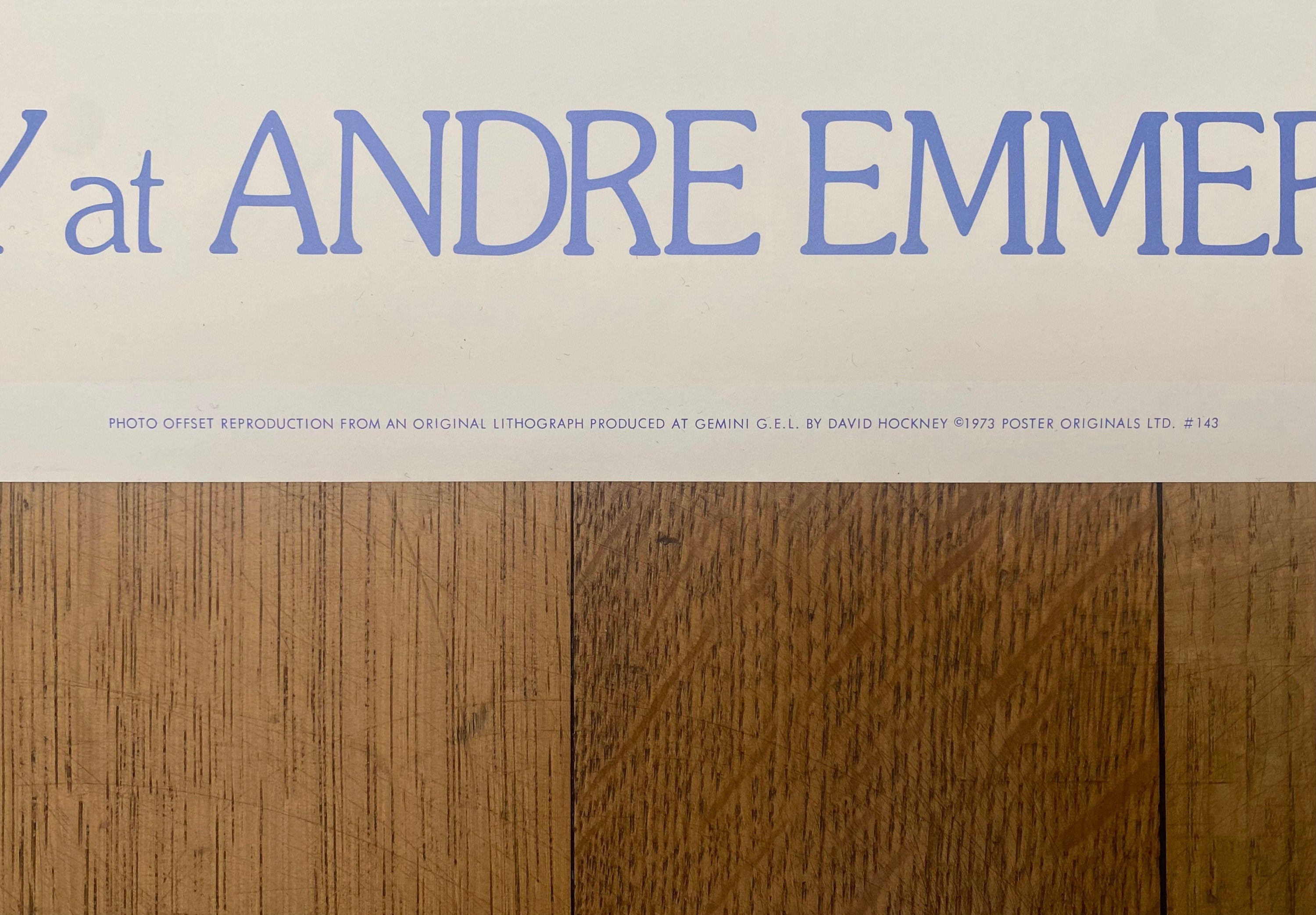 David Hockney original art poster - 25.0"×32.5" (63.5×82.5cm)