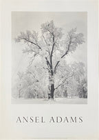 Ansel Adams original photography poster - 25.6"×35.8" (65×91cm)