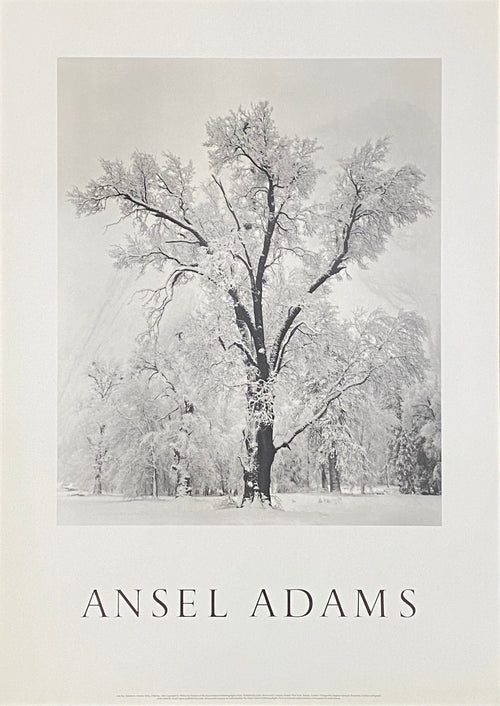 Ansel Adams original photography poster - 25.6"×35.8" (65×91cm)