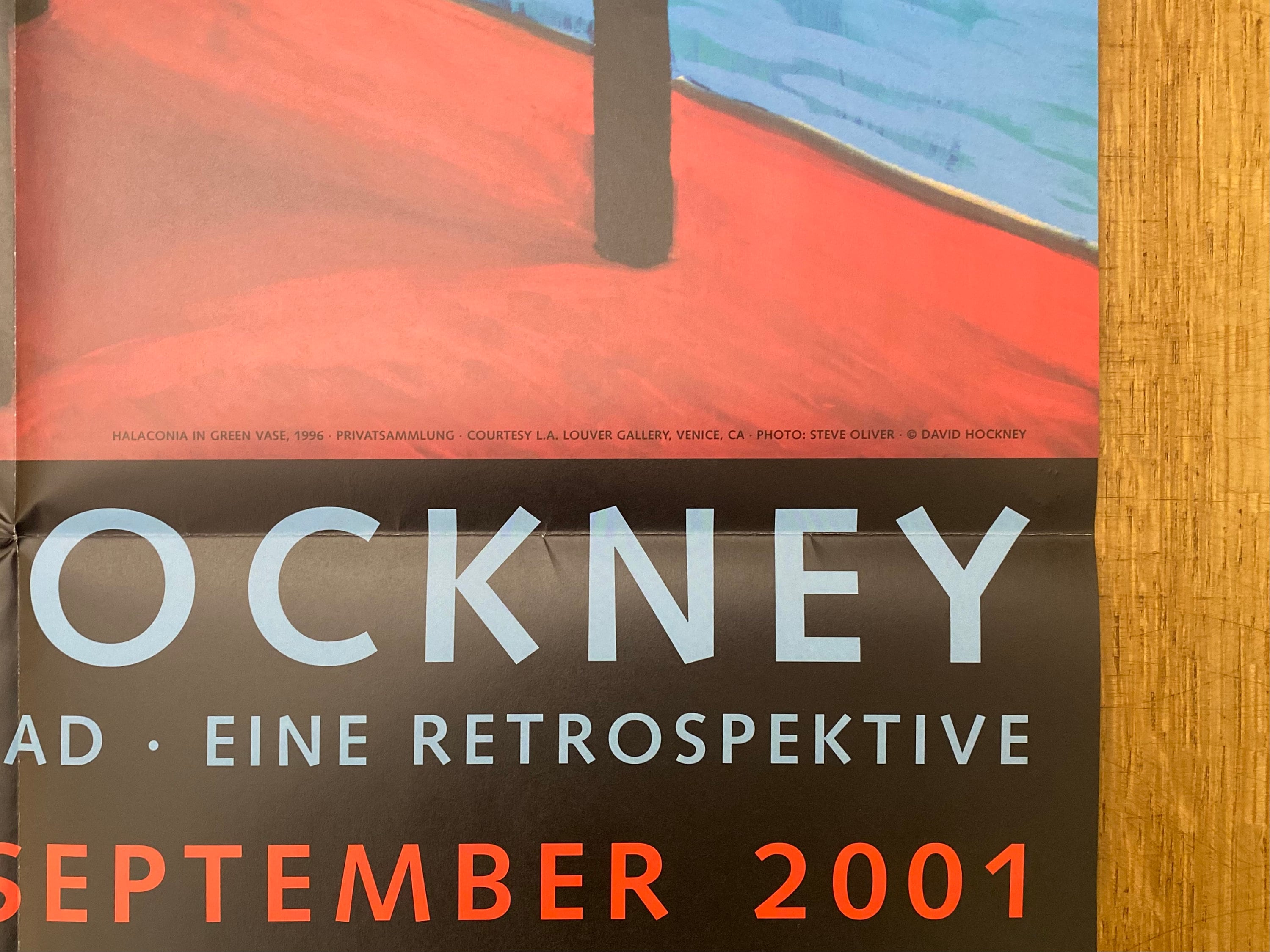 David Hockney original art poster - 23.2"×32.9" (59×83.5cm)