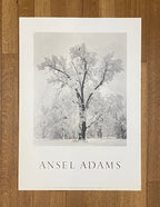 Ansel Adams original photography poster - 25.6"×35.8" (65×91cm)