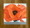 Georgia O'Keeffe Original Kunstplakat - 71×63,5 cm
