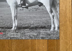 Marina Abramović Originalkunstplakat – 51×76 cm (20,1"×29,9")