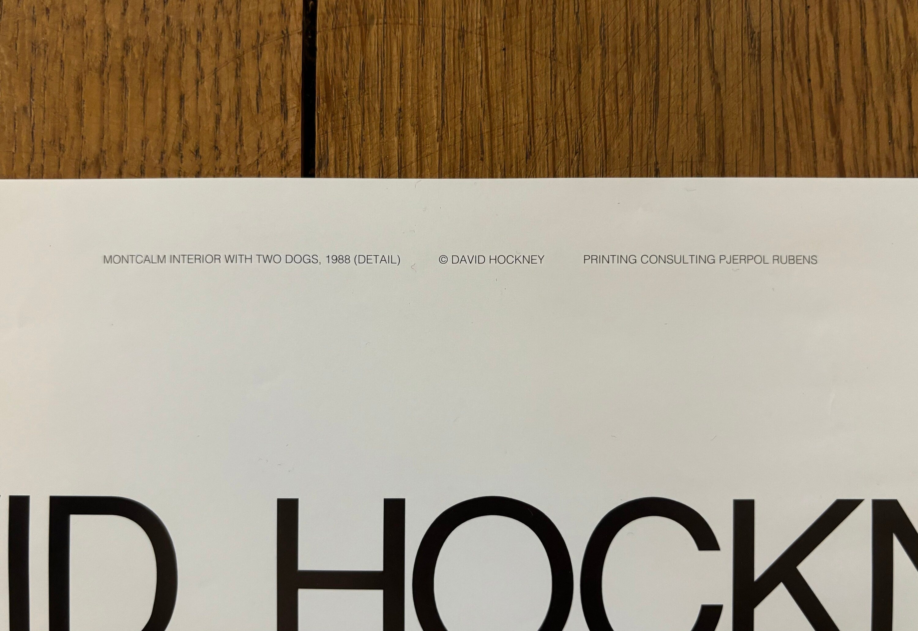 David Hockney original art poster used - 15.7"×23.6" (40×60cm)