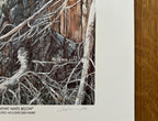 Original-Filmposter „What Waits Below“ – 38×71 cm