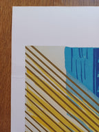 David Hockney original poster used - 27.2"×38.2" (69×97cm)