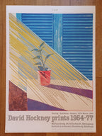 David Hockney original poster used - 27.2"×38.2" (69×97cm)