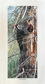 Original-Filmposter „What Waits Below“ – 38×71 cm