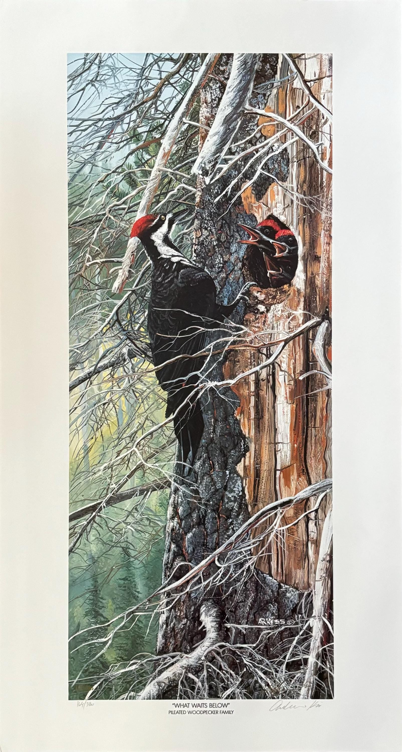 Original-Filmposter „What Waits Below“ – 38×71 cm