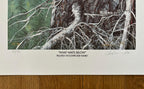 Original-Filmposter „What Waits Below“ – 38×71 cm