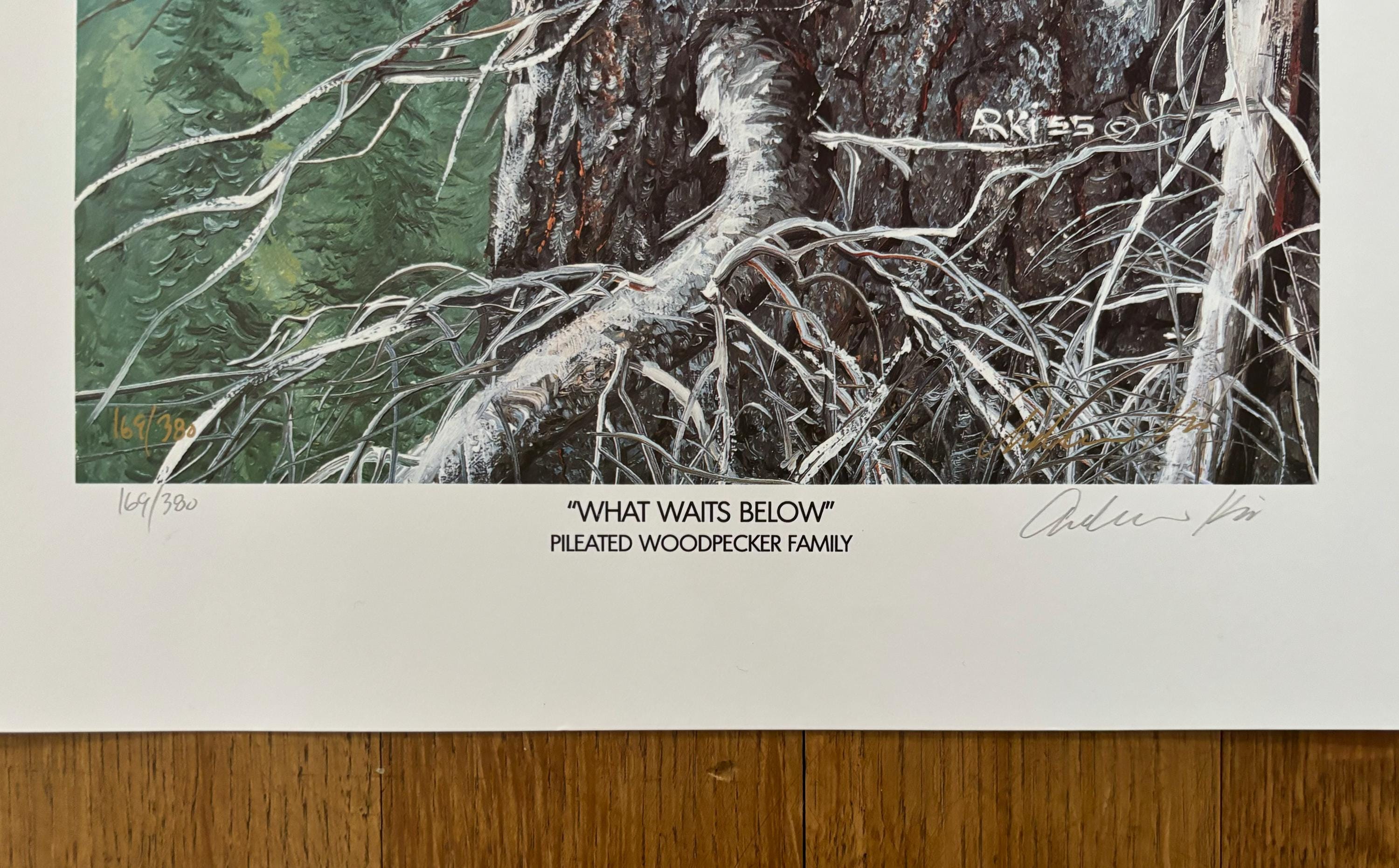 Original-Filmposter „What Waits Below“ – 38×71 cm