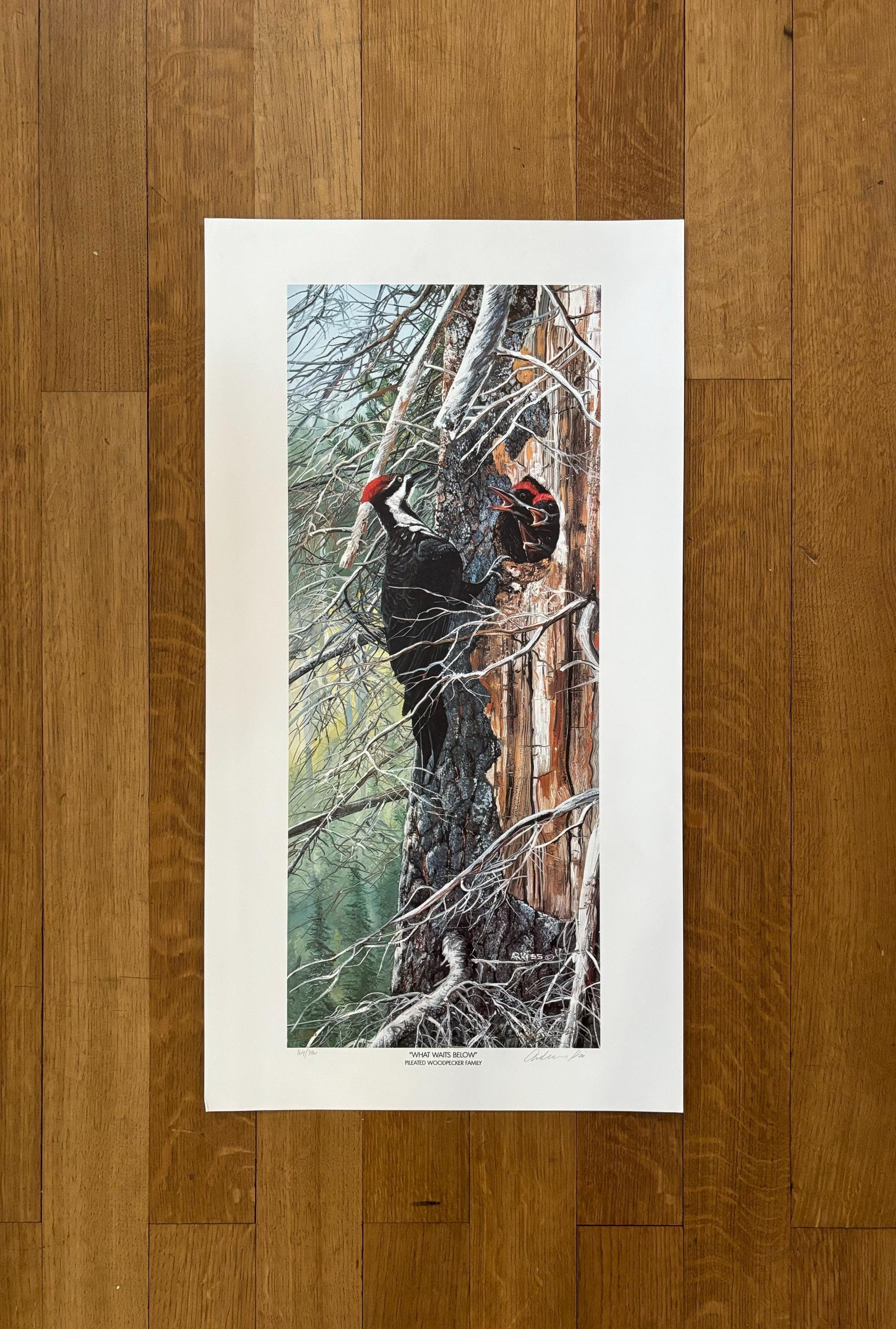 Original-Filmposter „What Waits Below“ – 38×71 cm