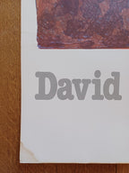 David Hockney original poster used - 27.2"×38.2" (69×97cm)