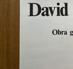 David Hockney original art poster - 18.5"×26.2" (47×66.5cm)