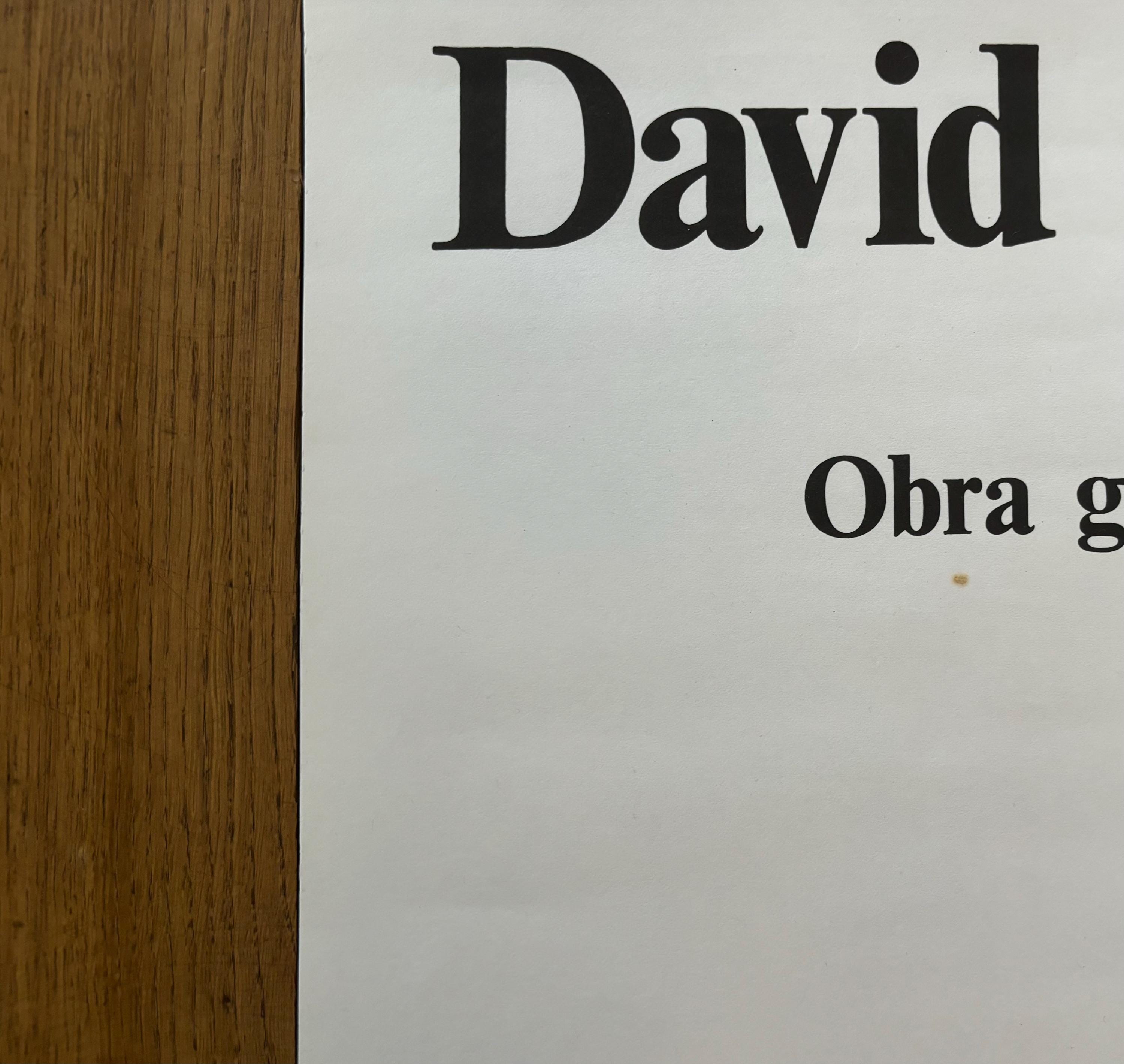 David Hockney original art poster - 18.5"×26.2" (47×66.5cm)