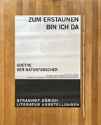 Strauhof Zürich Original Kunstposter - 90×128cm