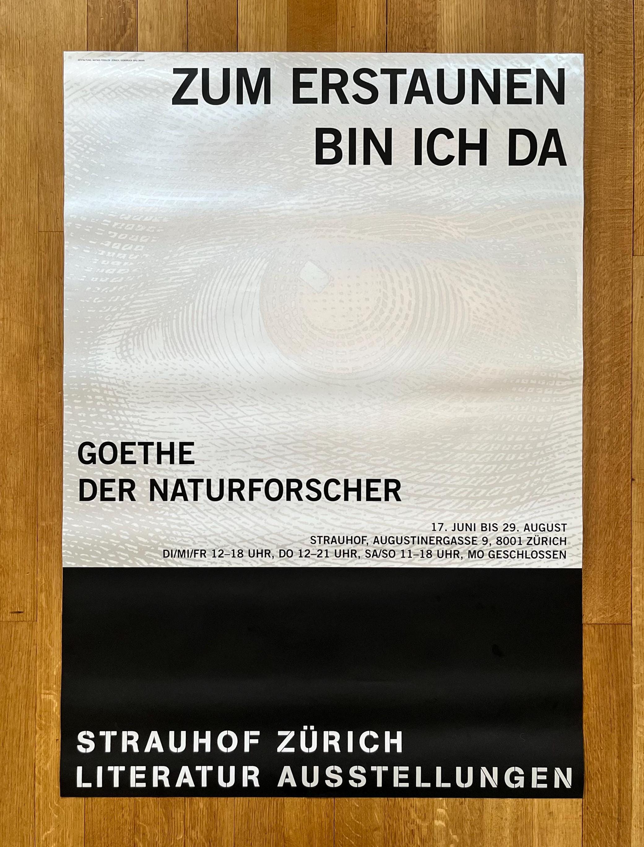 Strauhof Zürich Original Kunstposter - 90×128cm