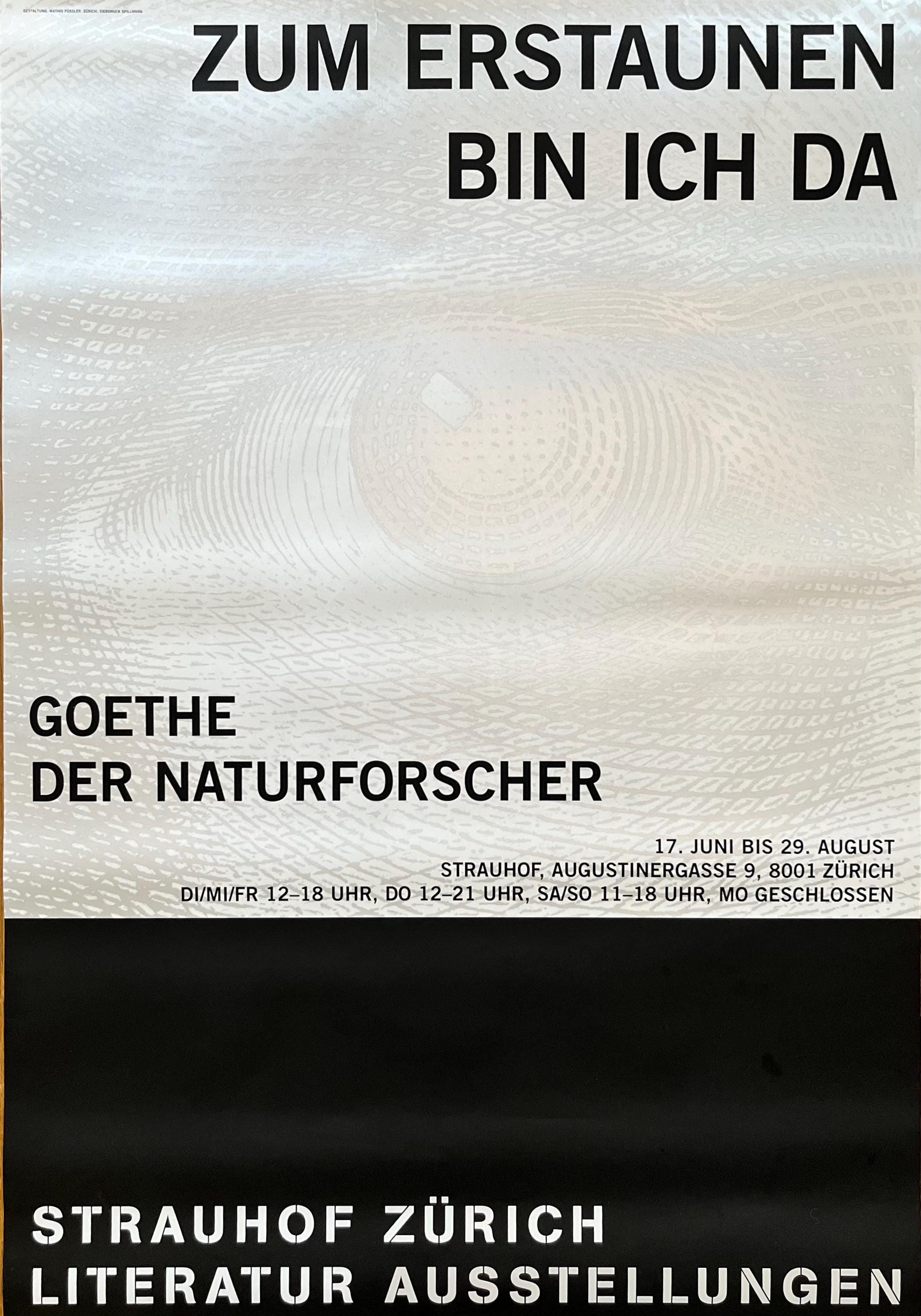 Strauhof Zürich Original Kunstposter - 90×128cm